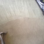 Carpet-Cleaning-Mountain-View