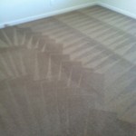 Mountain-View-Carpet-Cleaning-Wall-To-Wall