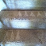 Mountain-View-Stairs-Carpet-Cleaning