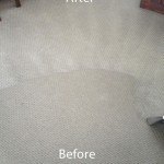 Wall-To-Wall-Carpet-Cleaning-Mountain-View